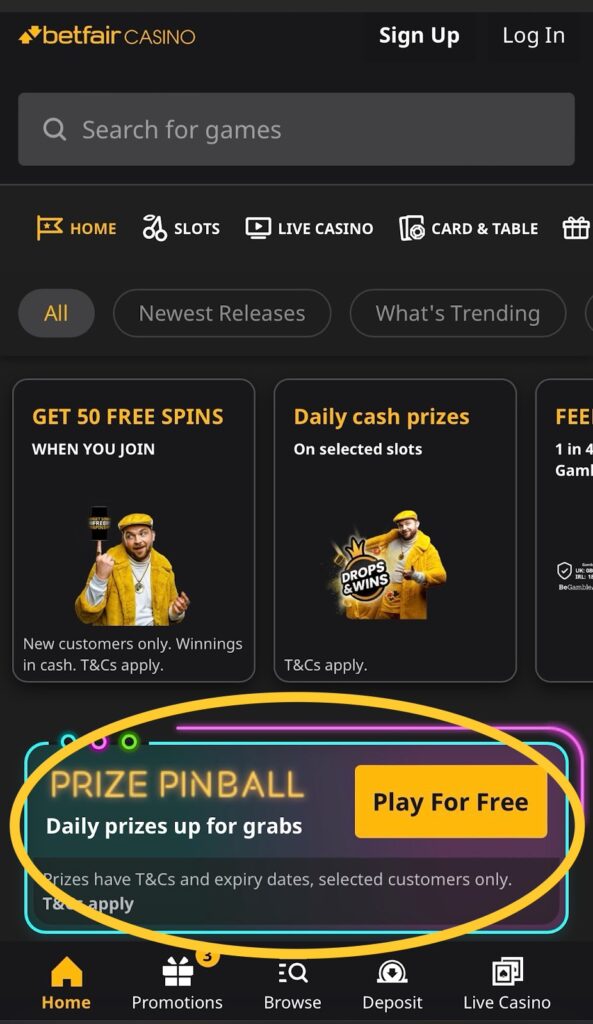 How does Betfair Prize Pinball work?